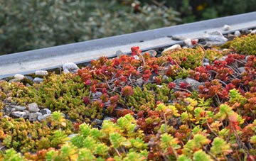 the cost of Long Wittenham green roof installation